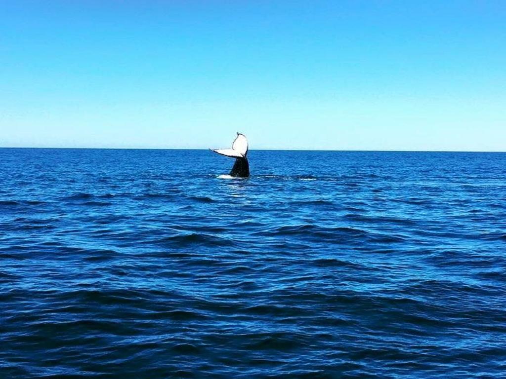 Big4 Tasman Holiday Parks - Tathra Beach エクステリア 写真